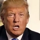 A lo largo de la campaña, Trump intensificó sus mensajes provida y se dirigió con mayor calor al electorado católico.