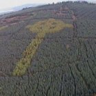 Imagen aérea de la misteriosa cruz céltica hallada en Irlanda