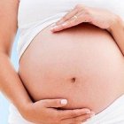 Paraguay, el paraiso provida