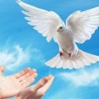 Dios nos ha dado el gran regalo de su Espíritu,