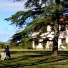 Un retiro de una semana con misa, silencio y meditación tiene beneficios neurológicos, en la dopamina y la serotonina