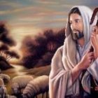 Él va llamando por su nombre a sus ovejas