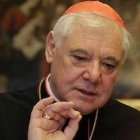 El cardenal Müller ha sido prefecto de la Doctrina de la Fe entre 2012 y 2017, un tiempo inusualmente breve.
