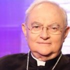 Monseñor Hoser tendrá un cometido exclusivamente pastoral y no teológico en su misión en Medjugorje