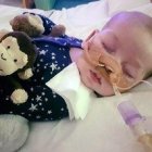 El pequeño Charlie seguirá viviendo de momento unas semanas más