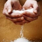 Vosotros sois la sal de la tierra...