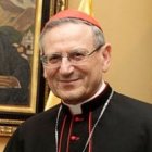 Cardenal Amato