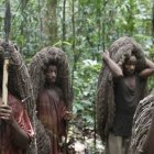 Los pigmeos viven en la jungla entre Congo, Camerún y Gabón y cazan con jabalinas y flechas