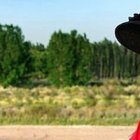 El día de Nuestra Señora de Guadalupe, Carolina dará el primer paso para ser un día carmelita descalza.