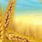 «La mies es abundante...