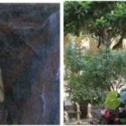 Escritor y humanista, ostentó varios cargos eclesiales