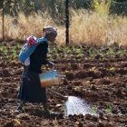 Manos Unidas dedica el 50 de sus esfuerzos al continente africano