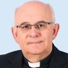 Ángel Fernández Collado dejará Toledo para ser obispo de Albacete