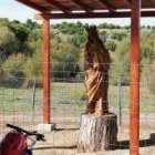 La Virgen del Abrazo o de Valdebebas, en un tronco enraizado, foto de Carmen Delgado, en Gaceta Local