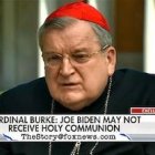 El cardenal Burke lamentó el «escándalo»  con el que muchos políticos católicos confunden a otros que no lo son sobre cuál es la doctrina de la Iglesia.