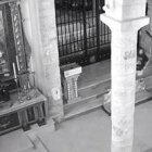 El Diario Jaén ilustra la noticia con una imagen de cámara de seguridad, que probablemente captó al infractor en el santuario