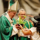El Papa Francisco ha enviado un mensaje al mundo entero sobre el cuidado del planeta / Vatican Media