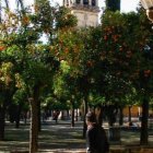 El cabildo de la catedral de Córdoba financia una investigación arqueológica universitaria en el Patio de los Naranjos