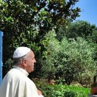 Francisco ha proclamado un Año Jubilar de San José y escribió una carta apostólica, «Patris Corde», con motivo del 150º aniversario de su proclamación como patrono de la Iglesia universal.