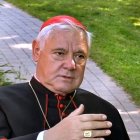 El cardenal Müller denuncia el camino de abandono de la fe católica por una parte significativa y relevante de la Iglesia alemana.