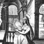 Visión de la rama y los vástagos.