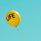 La defensa de la «vida» no puede dejar de lado que el aborto es también una violación de la ley de Dios. Foto (contextual): Maria Oswalt / Unsplash.