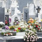 La tradicional indulgencia que se puede ganar en el día de todos los difuntos se puede ampliar a todo noviembre