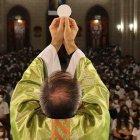 Día de la Iglesia diocesana, todos llamados a colaborar