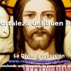 Buen Pastor, Luz del mundo