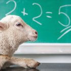 La ideología de género parte de auténticos delirios contra la biología, pero la insistencia mediática consigue que haya quien se los crea. Foto (contextual): Michal Matlon / Unsplash.