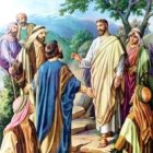 Señor, ¿a quién iremos?