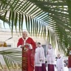 Domingo de Ramos de 2022 con el Papa Francisco en la Plaza de San Pedro en Roma