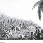 Esclavos negros en las plantaciones azucareras de Trinidad