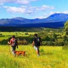 Esta ruta recorre los bellos parajes de la Sierra de Guadarrama en Madrid
