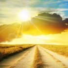 Yo soy el Camino, la Verdad y la Vida.