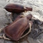 A vino nuevo, odres nuevos.