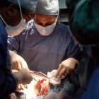 El informe muestra que del total de operaciones realizadas en esos cuatro años, 1.130 correspondían a niñas menores de 12 años.