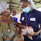 Sor Christabel -con mascarilla- sostiene un cerdito que vacuna su superior, Sor Rosalia Sakayombo, en su granja-escuela premiada