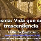 Cuaresma: vida que se hace trascendencia