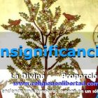 Insignificancia, humildad