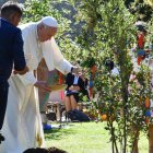 "Por más que se pretendan negar, esconder, disimular o relativizar, los signos del cambio climático están ahí", dice Francisco en su exhortación apostólica "Laudate Deum.