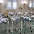 Según el canal privado de televisión 'Alpha', muchas parejas han aterrizado durante estos días en Creta para realizarse pruebas de ADN y poder reclamar judicialmente la paternidad de las criaturas.