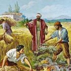 Campesinos separando trigo de la cizaña