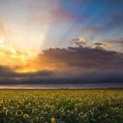 En aquel tiempo, decía Jesús a la gente.