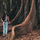 Una joven entre grandes raíces mira a lo alto, frutos lejanos... como la Iglesia - foto de Cristina Gottardi en Unsplash