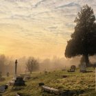 'La escena resulta de una belleza vigesimonónica, de cuando la vejez, la enfermedad y la muerte eran parte de la rutina. De cuando sabían a humanidad y eran para un niño, entre todas, la enseñanza más genuina'.