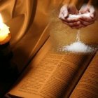 Sal de la tierra.  Luz del mundo