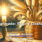 Trigo y cizaña... esperanza