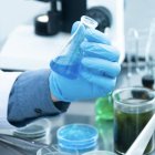 La Sociedad de Científicos Católicos cuenta actualmente con 2300 miembros distribuidos en 60 países.