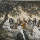 Mirad que os mando como ovejas entre lobos;